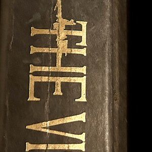 The Visitation - Novel